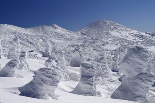 樹氷が魅了する冬の八甲田